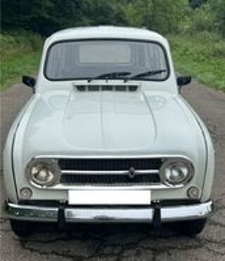 Divers 4l 1973 occasion 65000 Tarbes