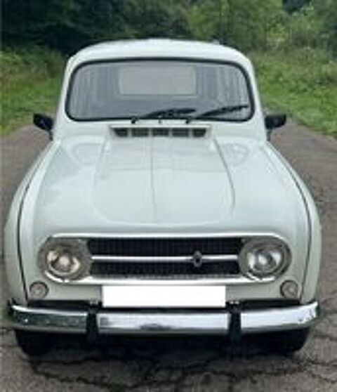 Divers 4l 1973 occasion 65000 Tarbes