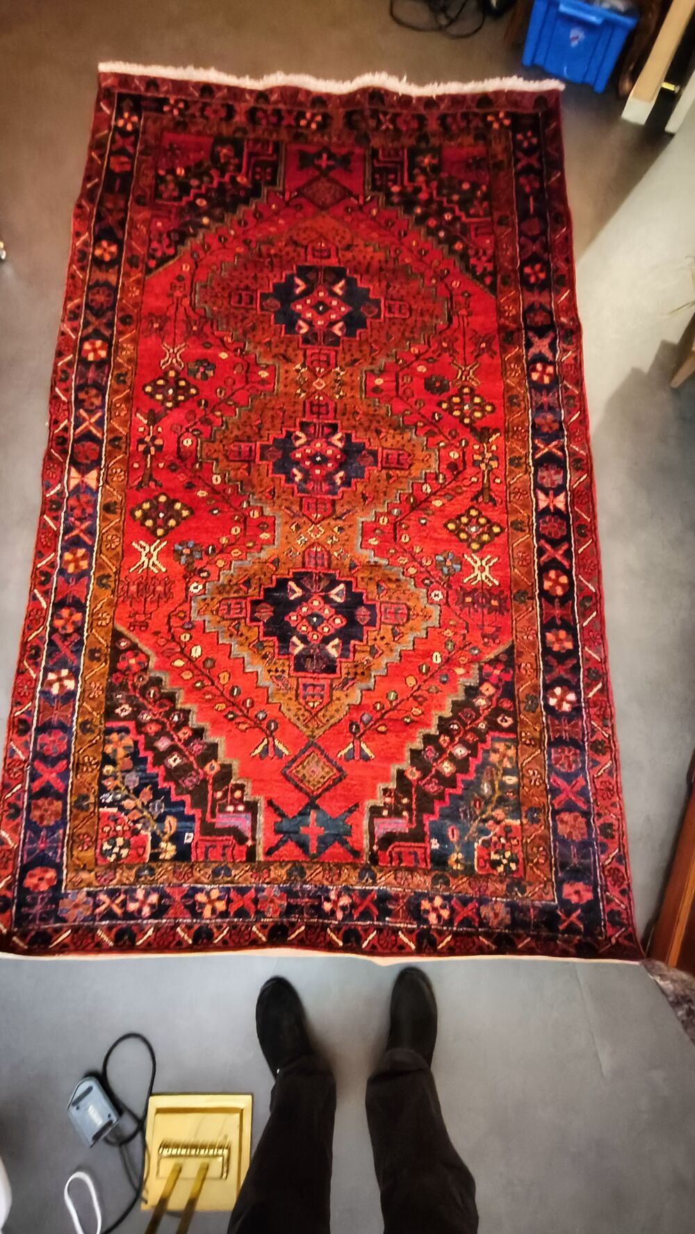 Tapis iranien fait main en laine de 2 m 60 sur 1 m 50 Décoration