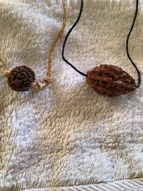 Noyaux de fruits sculpts 17 Nice (06)