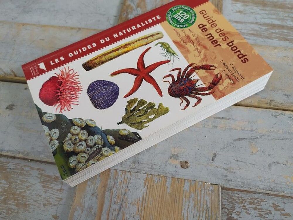 Livre Delachaux et Niestl&eacute; Guide des Bords de Mer 
Livres et BD