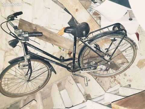 Vélo Batavus Flying Dutchman  
40 Amuré (79)