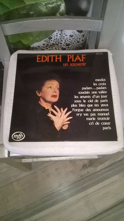 Vinyle Edith Piaf
Un Souvenir
1973
Excellent etat
Padam. 10 Talange (57)