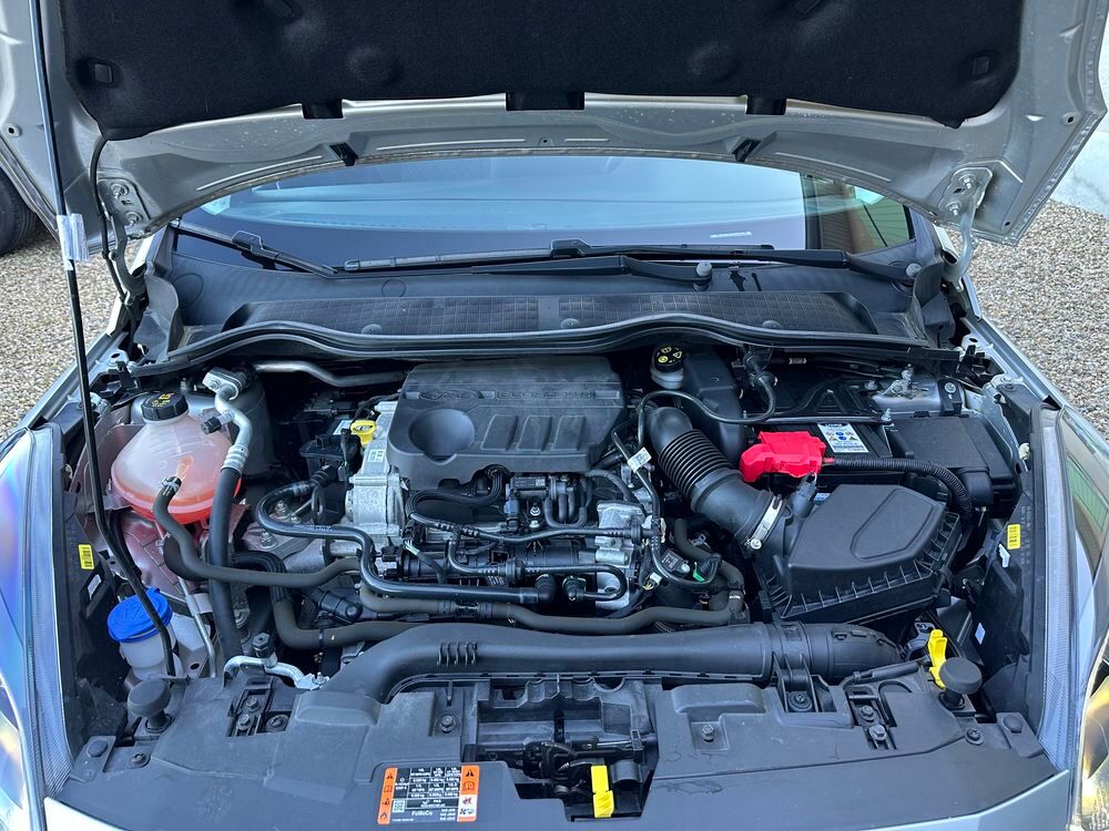 Fiesta 1.0 EcoBoost 125 ch S&S mHEV BVM6 Active X 2021 occasion 69400 Arnas