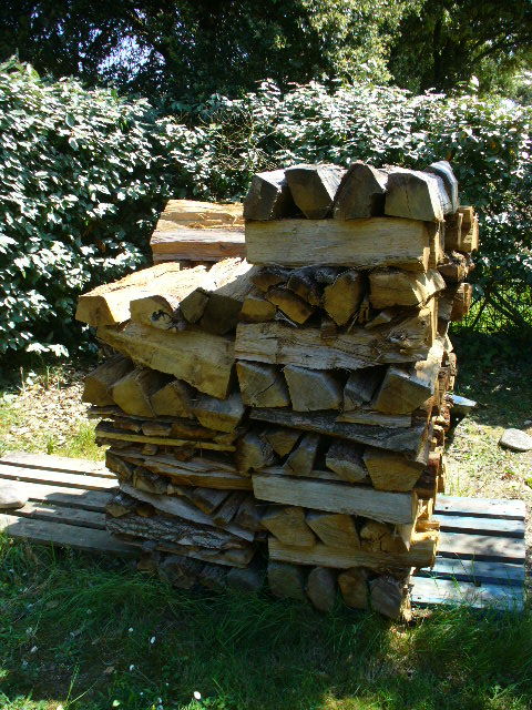 1.5 stère bois de chauffage - Bûches de 50 cm Talmont-Saint-Hilaire (85)
