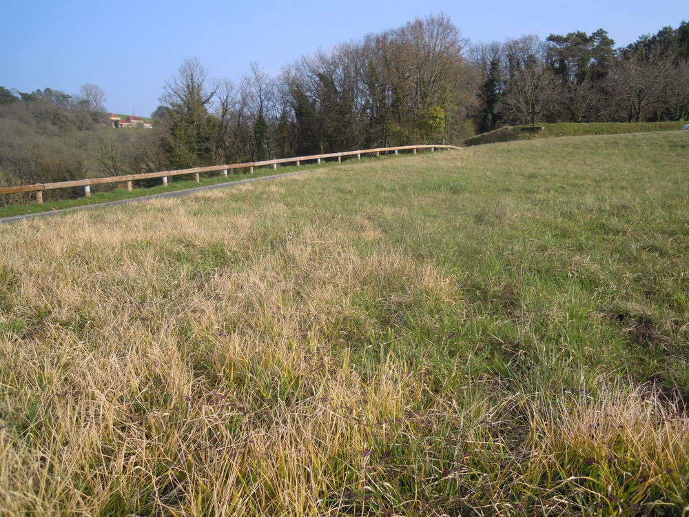 Vente Terrain TERRAIN AVEC CU A SARLAT Marcillac-saint-quentin