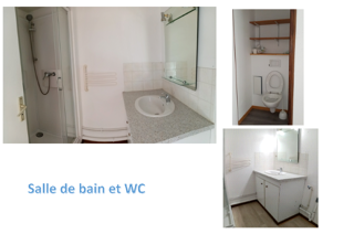  Appartement à louer 1 pièce 24 m²