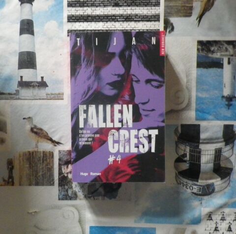 FALLEN CREST T4 de TIJAN Hugo Roman New Romance 8 Bubry (56)