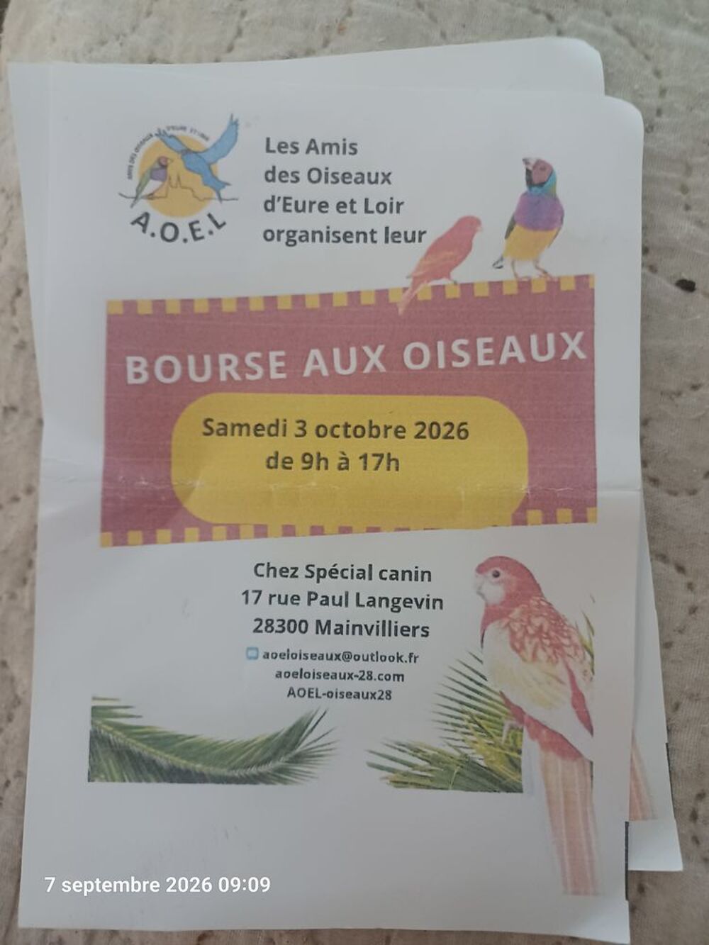   Bourse aux oiseaux le 3 octobre 26 