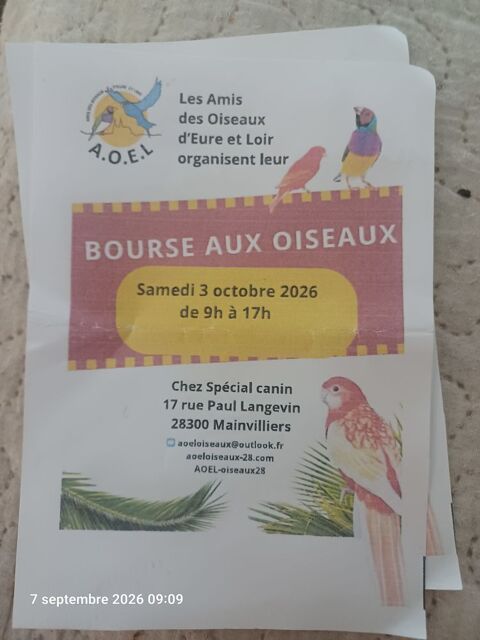 Bourse aux oiseaux le 3 octobre 26 50 28300 Mainvilliers