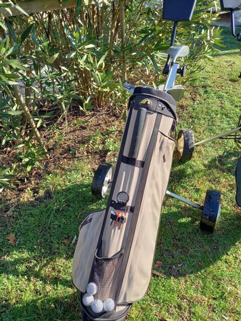   2 Chariots de golf 120 Andernos-les-Bains (33)