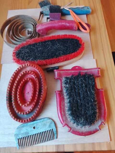 Etrilles, brosses 6 29200 Brest