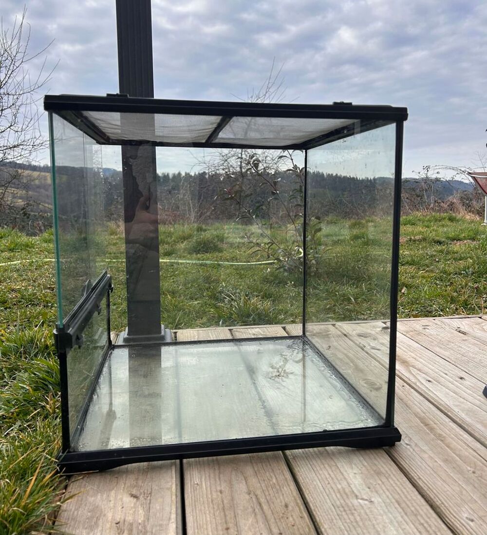 Terrarium en verre Décoration