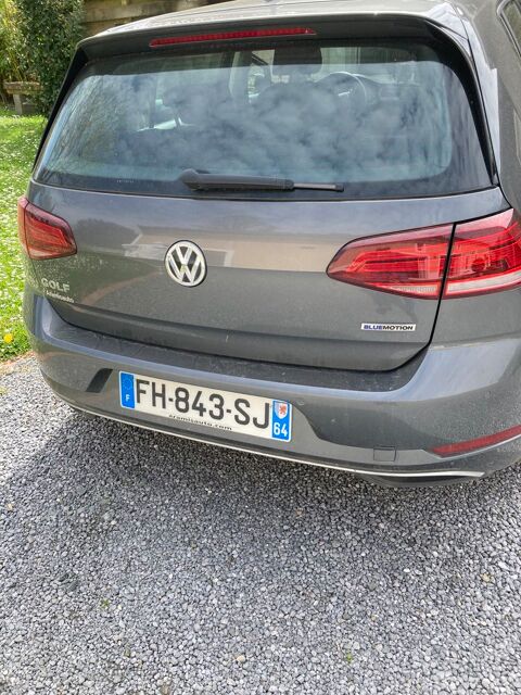 Volkswagen Golf 1.5 TSI 130 EVO BVM6 Carat Exclusive 2019 occasion Targon 33760