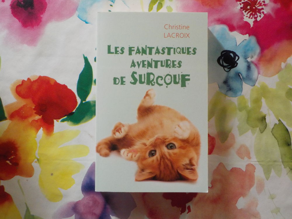 LES FANTASTIQUES AVENTURES DE SURCOUF de Christine LACROIX Livres et BD