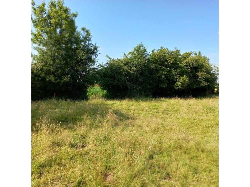 Vente Terrain Terrain Fressin