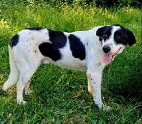   JACKY SE TROUVE DANS UN REFUGE EN ALBANIE 