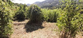  Terrain à vendre 16000 m² Menton