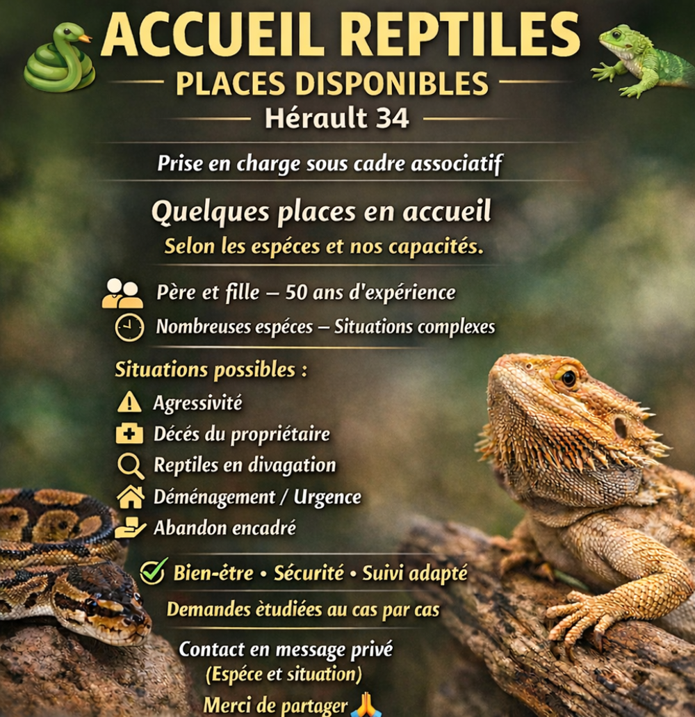   Sauvetages Reptiles 