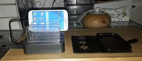 Samsung 8 Go 50 Froges (38)