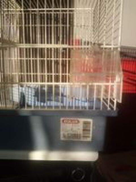   Cage double zoluxe  