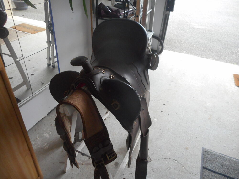 selle australienne Sports