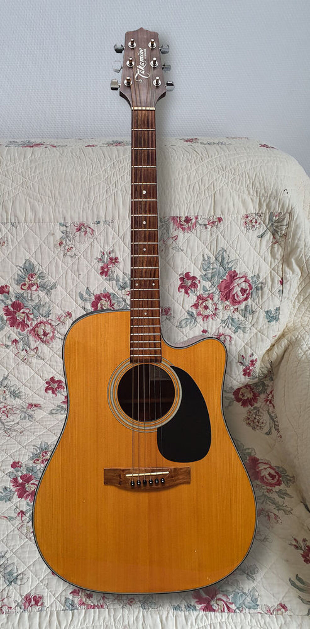 guitare Takamine avec housse de transport Instruments de musique