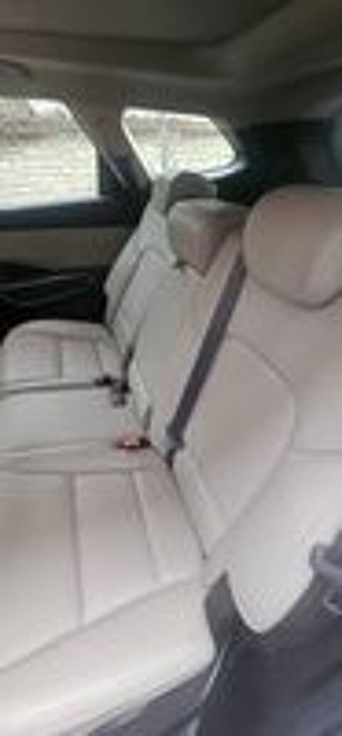 Santa Fe Santa F&eacute; 2.2 CRDi 197 4WD Executive 7pl A occasion 