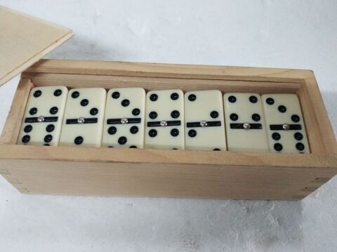Belle bote de dominos 15 Le Creusot (71)