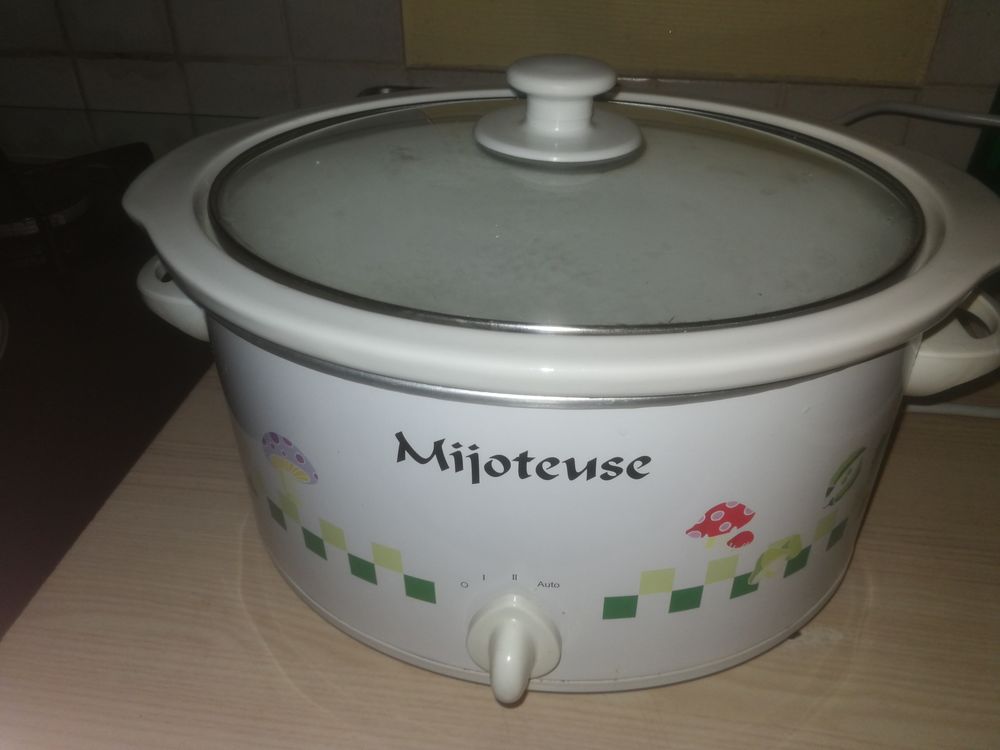 Mijoteuse ovale Electroménager