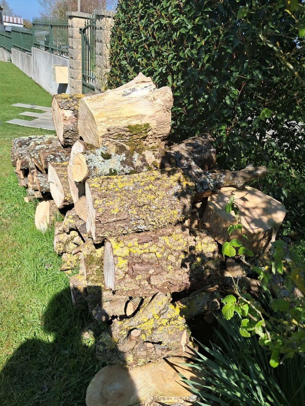 Bois de chauffage Bricolage