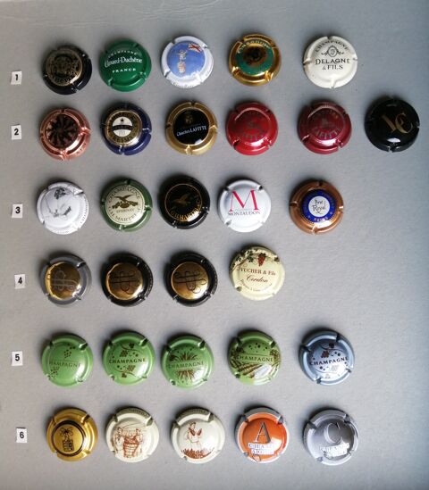 LOT de CAPSULES DE CHAMPAGNE 12 Nevers (58)