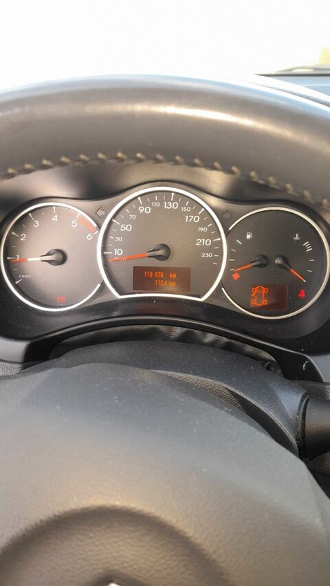 Renault koleos 2.0 dCi 175 4x4 FAP Privilège (11