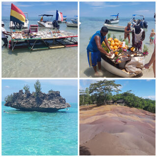 Location  Appartement 