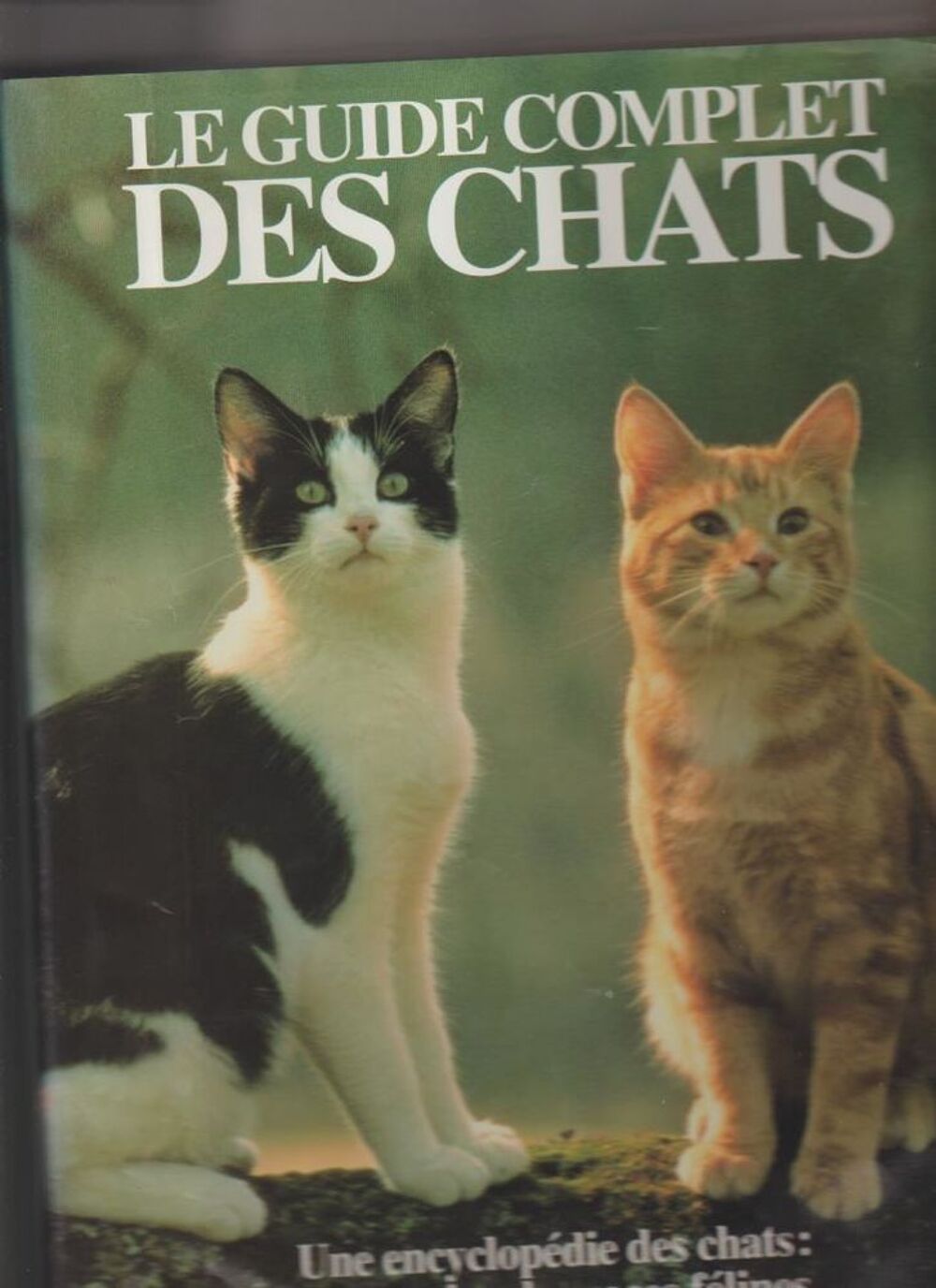 Livres sur les chats Jeux / jouets