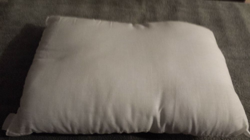 COUSSIN RECTANGLE BLANC
TAILLE 39 CM X 28 CM D�coration