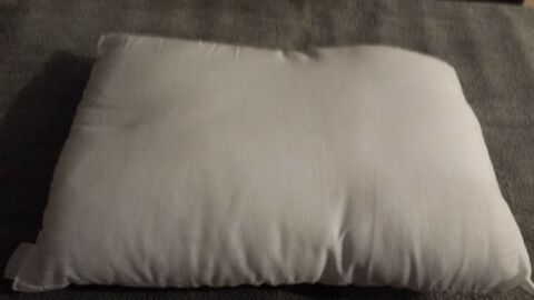 COUSSIN RECTANGLE BLANC
TAILLE 39 CM X 28 CM 1 Triel-sur-Seine (78)