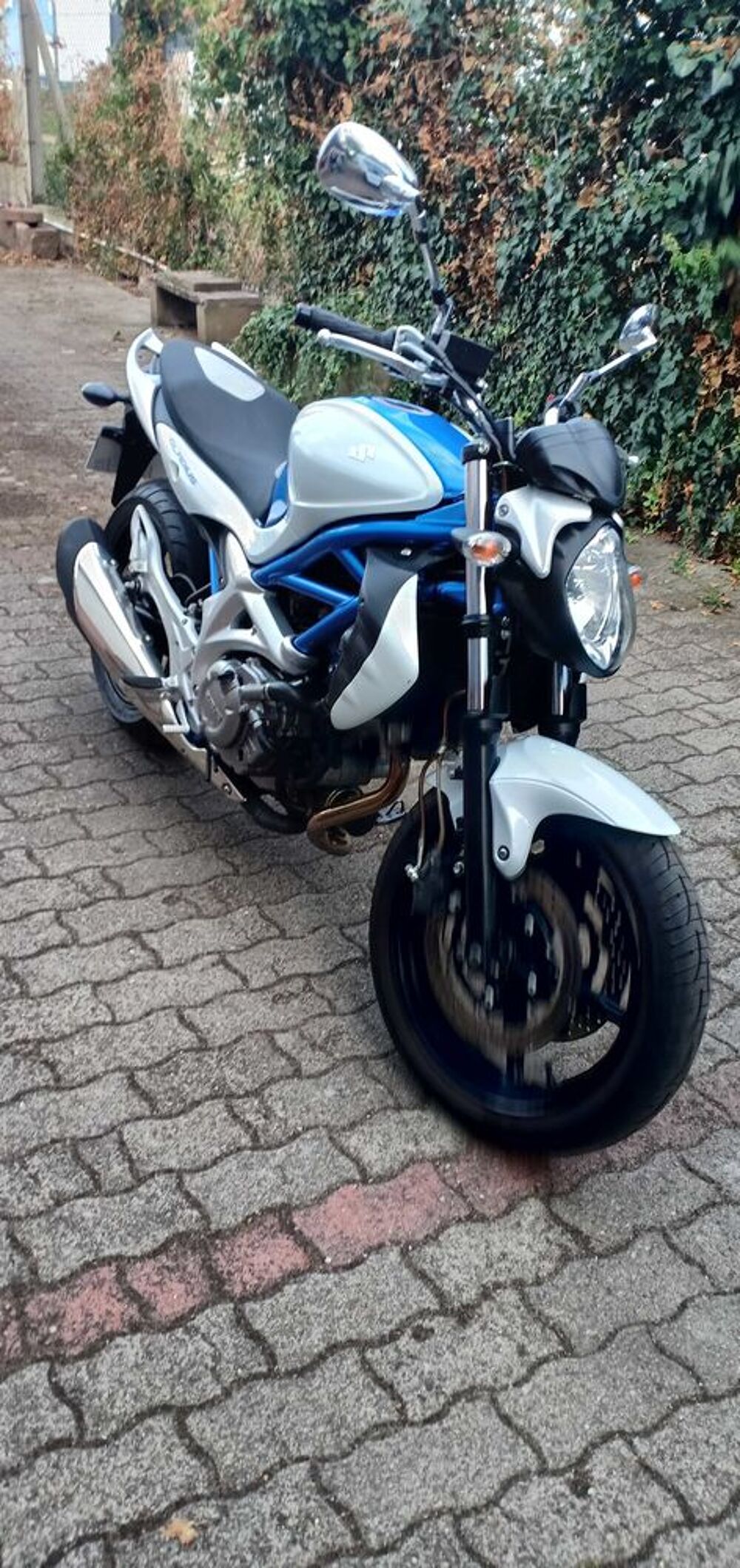 SUZUKI 2010 occasion 67240 Gries