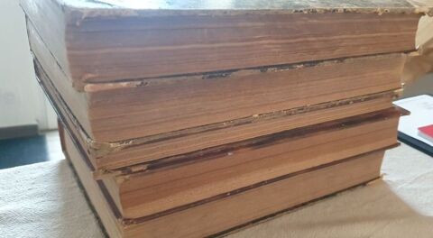 Le Miroir 100 Dinard (35)