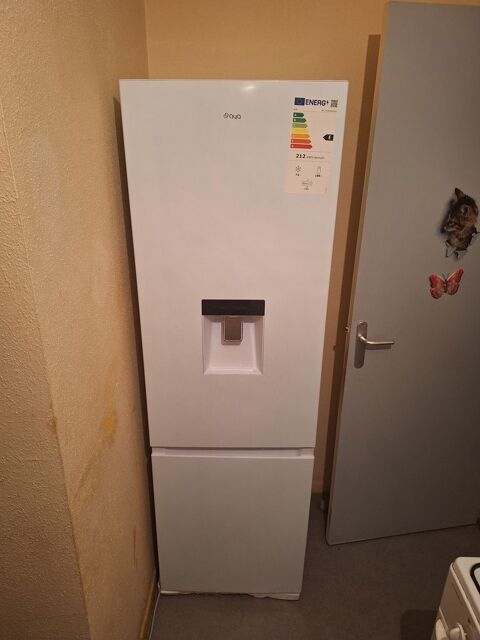 Frigo 200 Belfort (90)