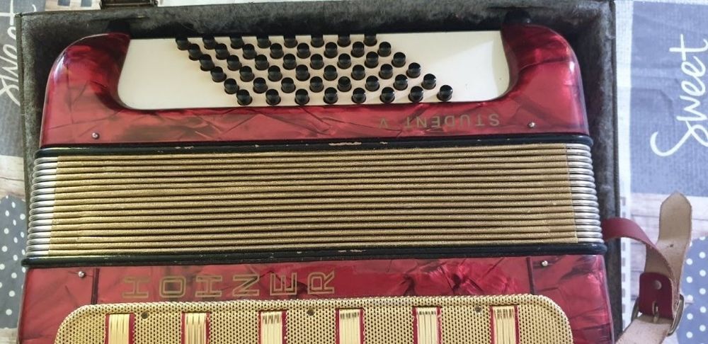 accord&eacute;on enfant Instruments de musique