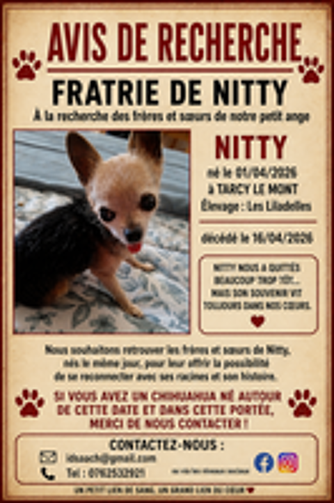   A la recherche d'une trace familiale. 