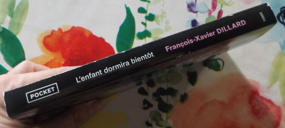 L'ENFANT DORMIRA BIENT&Ocirc;T de Fran&ccedil;ois-Xavier DILLARD Pocket Livres et BD
