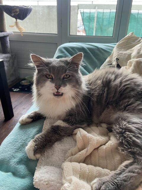 Tahor 80 44000 Nantes