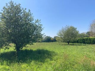  Terrain � vendre 785 m� Combrit