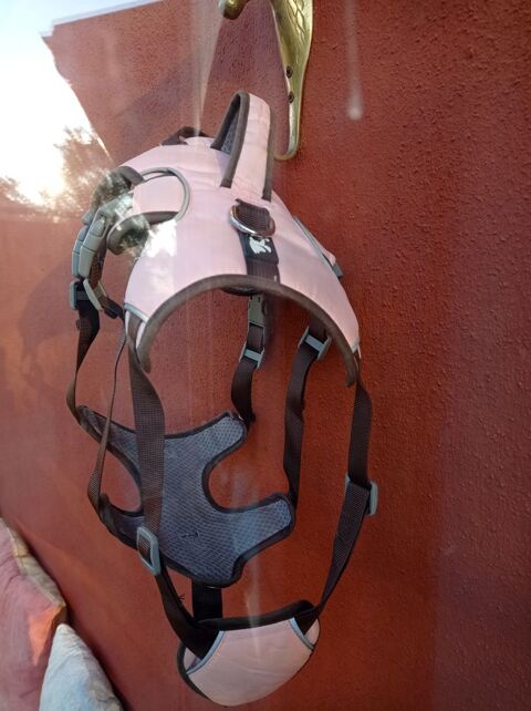 Harnais chien 3 points 20 82000 Montauban