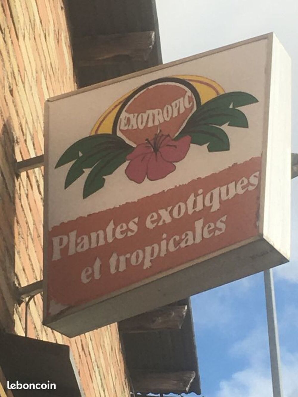 Enseigne lumineuse alu /plante tropicale , exotique Bricolage