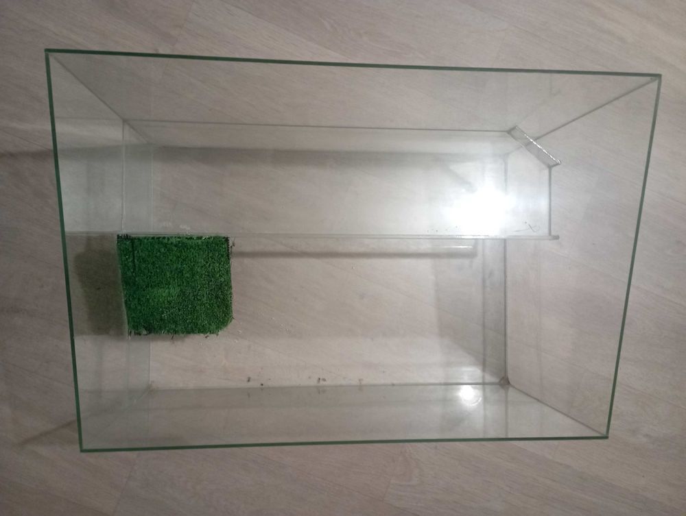 &agrave; vendre aquarium Décoration