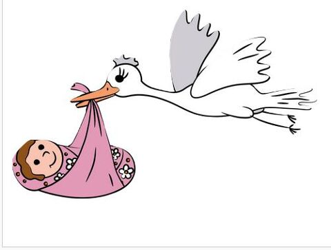 Grossesse- accouchement - naissance - bb 5 Armentires (59)