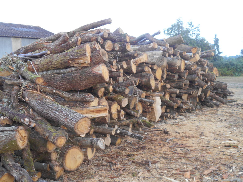 bois chauffage Jardin